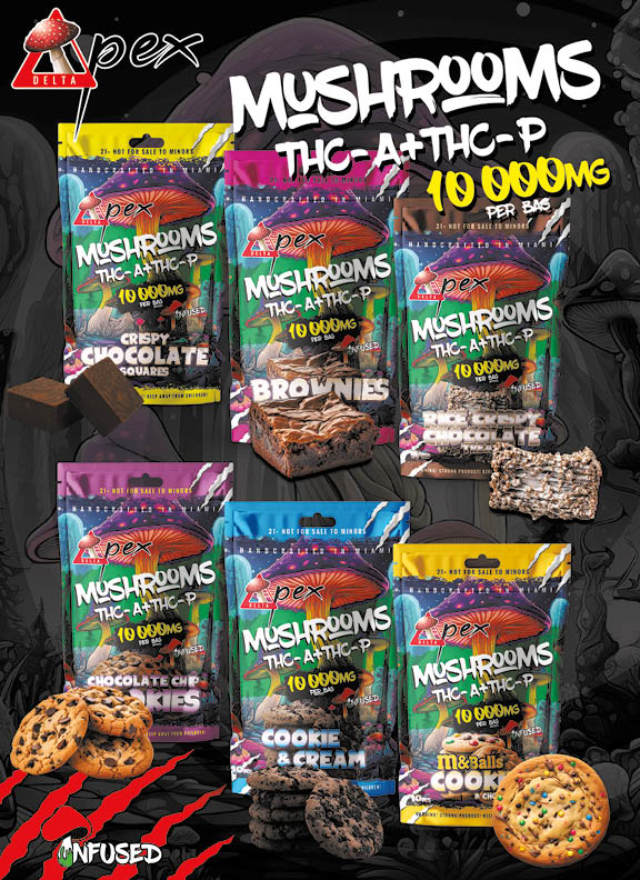 Deltapex catalog-8x11-202411