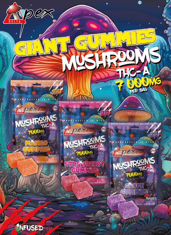 Deltapex catalog-8x11-202412