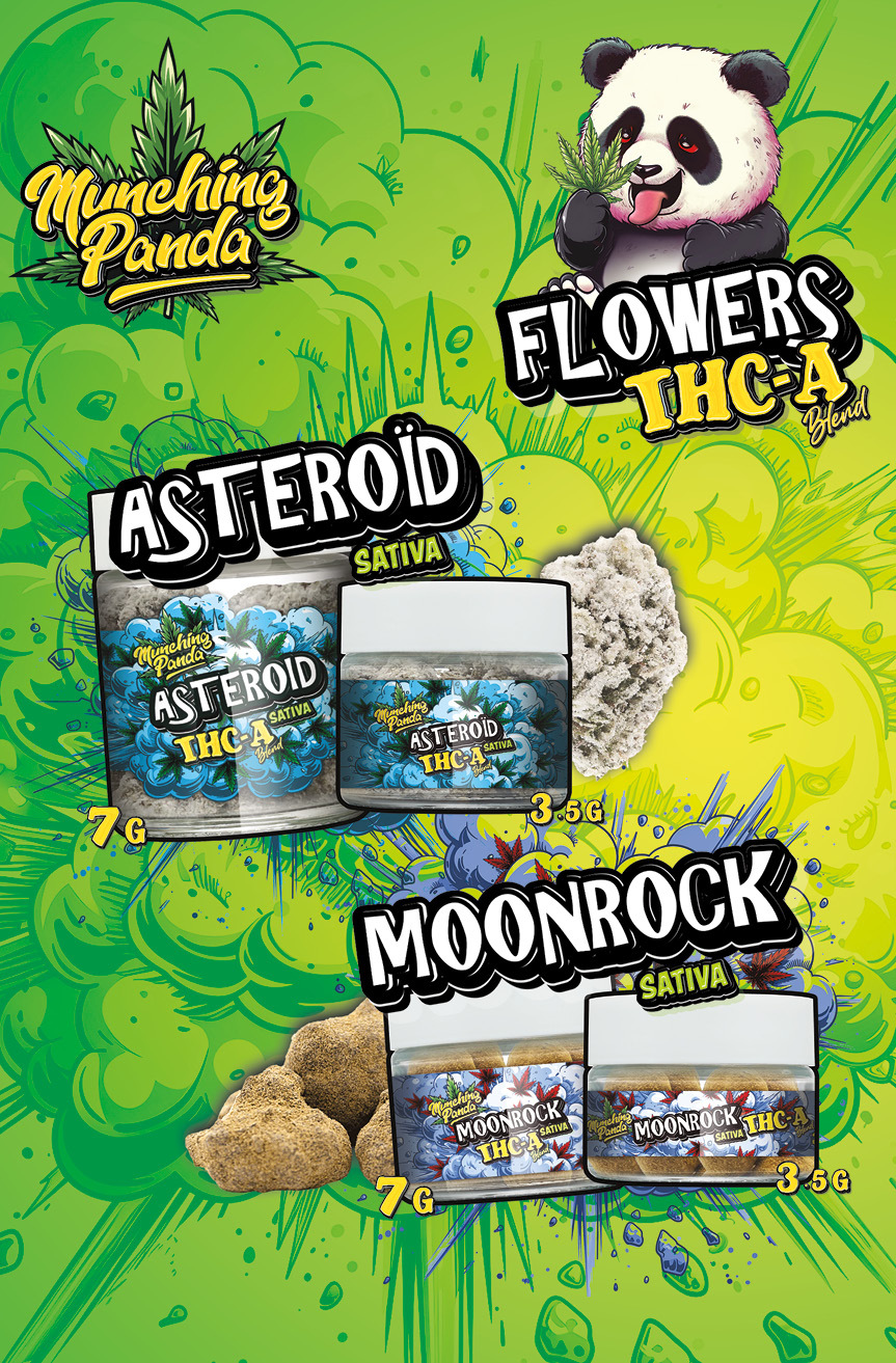 Munching Panda-5.75x8.75-202412