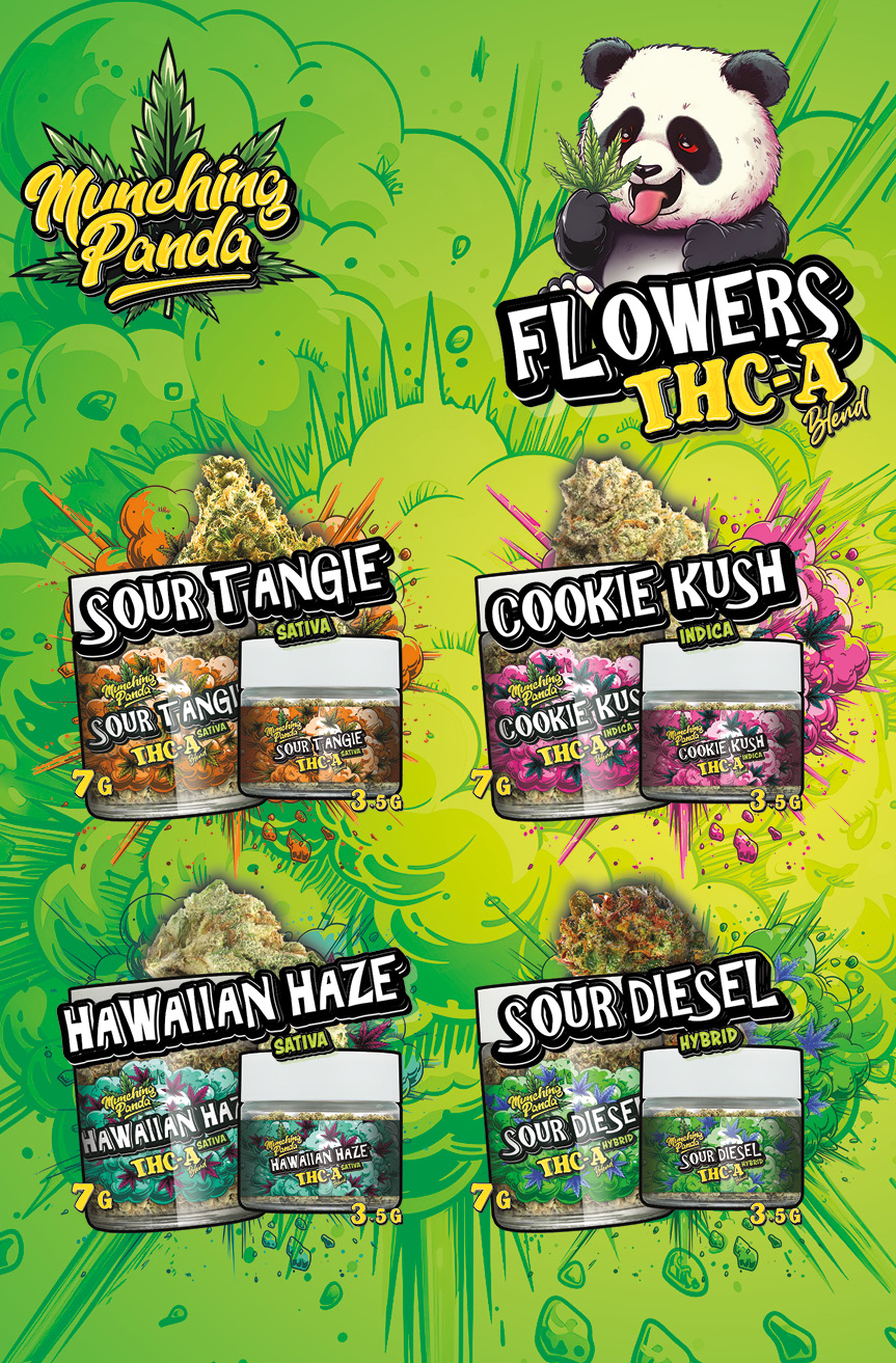 Munching Panda-5.75x8.75-202413