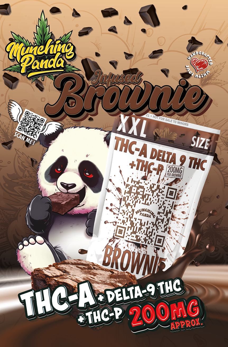 Munching Panda-5.75x8.75-202416
