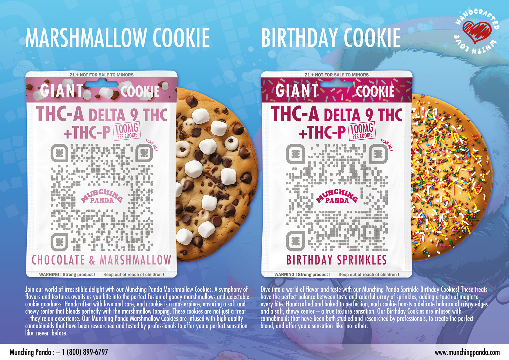 MunchingPandaCat20234