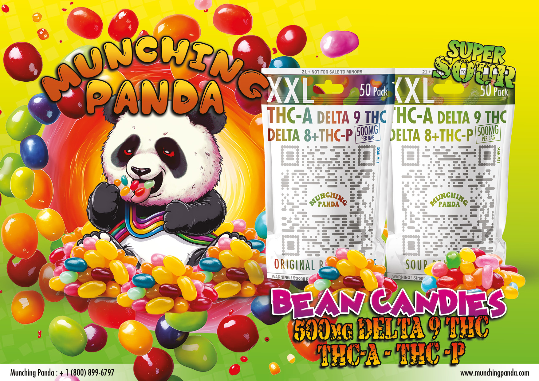 MunchingPandaCat20238